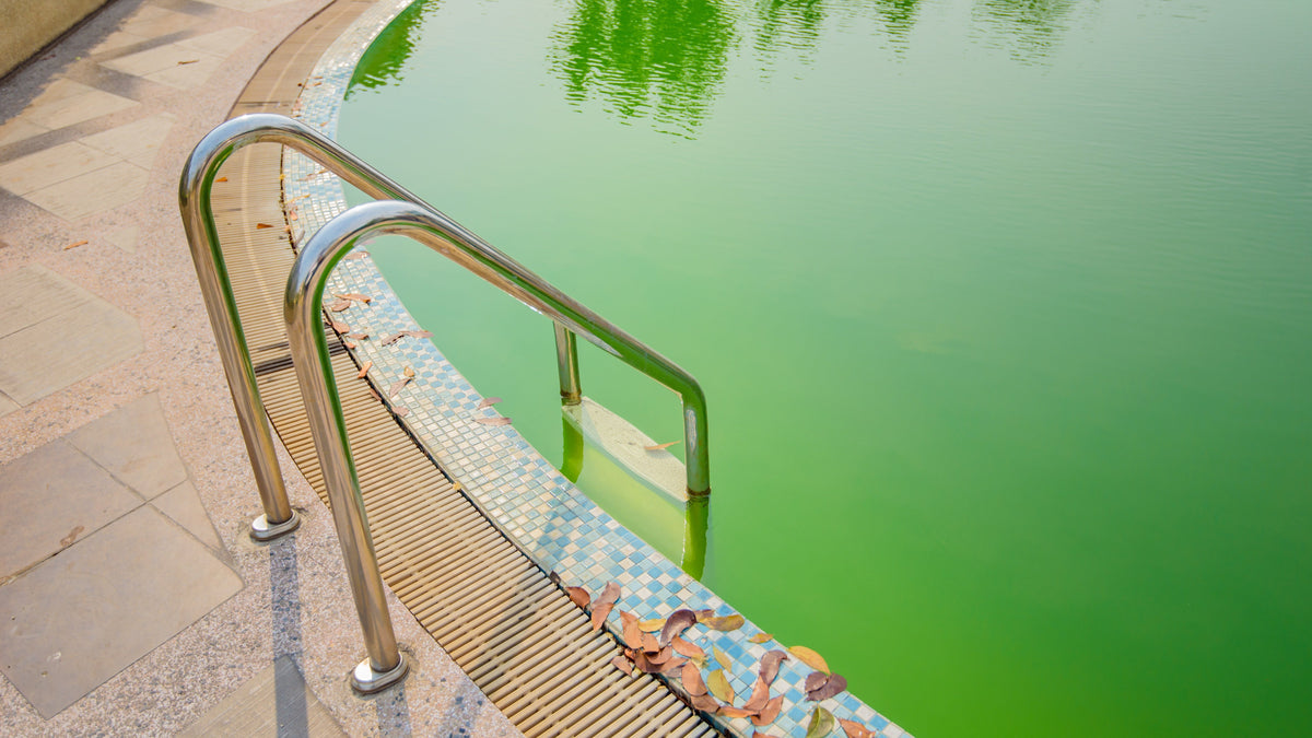 How to Clean a Green Swimming Pool Fast - United Chemical