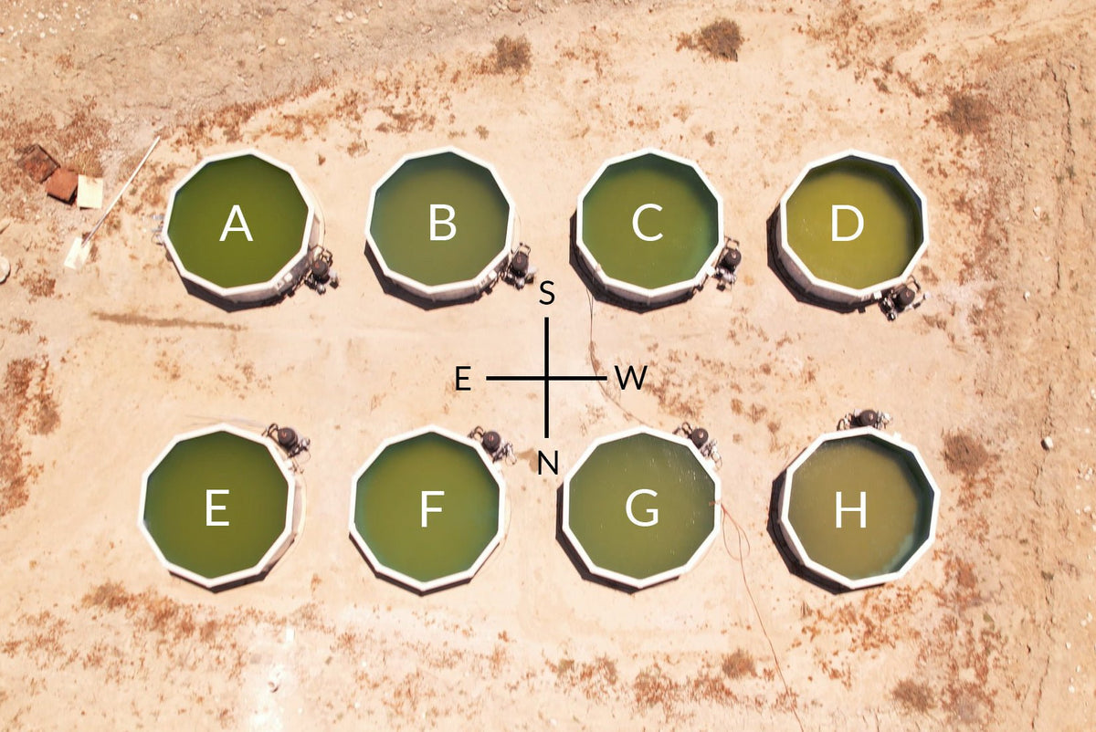 Hard Data, Real Results: Why the “Worst-Case” for Bromate is Still Safe - United Chemical